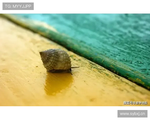 在雪道中成长探索速度与平衡的奥秘我的滑雪训练心得分享 在雪道中成长探索速度与平衡的奥秘我的滑雪训练心得分享